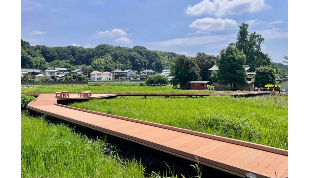 町田市に新名所!「小山田蓮田緑地」一部が先行開園!
