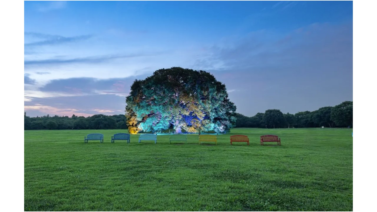 国立昭和記念公園が夏の特別夜間開園「ほしぞら散歩」開催!