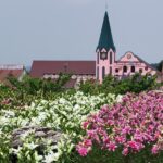 千葉「東京ドイツ村」丘一面、3万株のユリが涼し気に咲き誇る