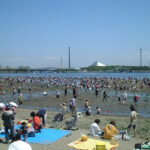 横浜市「海の公園」潮干狩り情報  ～9月頃まで楽しめます！～