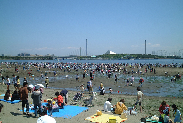 横浜市「海の公園」潮干狩り情報 ~9月頃まで楽しめます!~