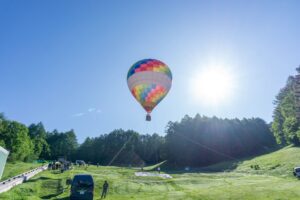 忘れられない夏の思い出を作る!「リソルの森」の自然体験プラン