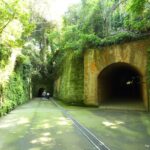 小学生以下は乗船無料!猿島航路再開記念キャンペーン!7/19~