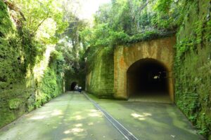 小学生以下は乗船無料！猿島航路再開記念キャンペーン！7/19～