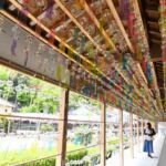 徳島県石井町、童学寺「まけまけ風鈴祭り」いよいよ8/末まで！