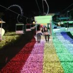 神奈川「さがみ湖イルミリオン」今年は「たまごっち」初コラボ!