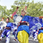 本場の高知で「よさこい祭り」が開幕！ 鳴子手に迫力の乱舞！