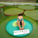 「はままつフラワーパーク」オオオニバスに乗ってみよう!体験