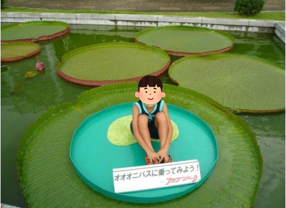 「はままつフラワーパーク」オオオニバスに乗ってみよう!体験