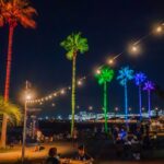 大阪泉南のビーチで楽しむ!ヤシの木ライトアップとグルメ夜市!