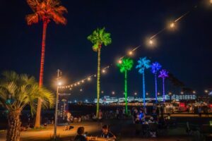 大阪泉南のビーチで楽しむ！ヤシの木ライトアップとグルメ夜市！
