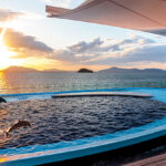 5周年「四国水族館」記念グルメやサンセットイルカショーなど