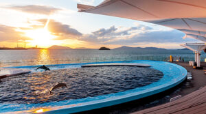 5周年「四国水族館」記念グルメやサンセットイルカショーなど