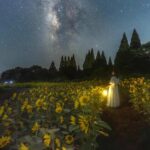 大分「くじゅう花公園」5万本のひまわりが圧巻!ナイトパークも開催!