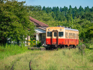 千葉「小湊鉄道」で行く、涼しい滝と自然に癒やされる夏の旅！