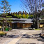 所沢「航空記念公園」の日本庭園「彩翔亭」での蓮と睡蓮の魅力