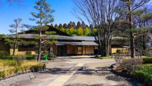 所沢「航空記念公園」の日本庭園「彩翔亭」での蓮と睡蓮の魅力