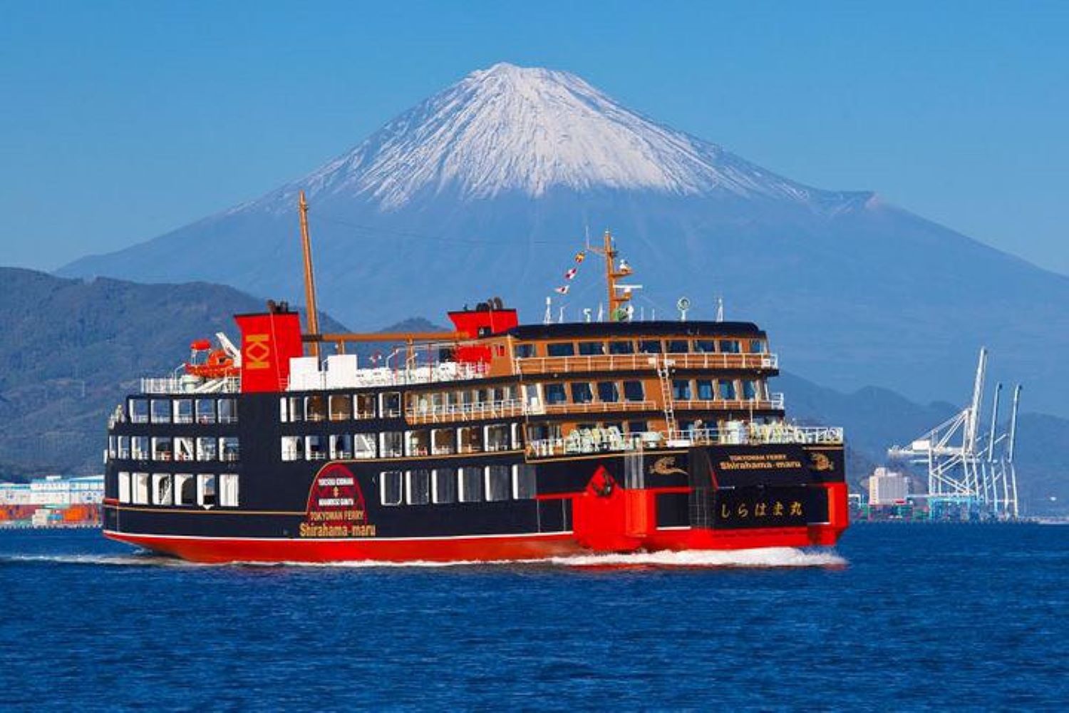 東京湾フェリー、久里浜発着「黒船でいく横浜港特別クルーズ」運行！