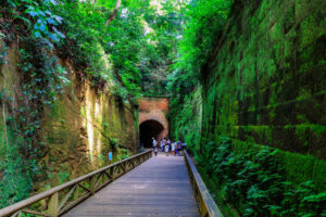 東京湾の自然島「猿島」来島者が過去最多！ラピュタの世界観も話題！