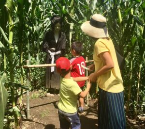 那須塩原「千本松牧場」トウモロコシ畑に巨大迷路が登場！8/31まで