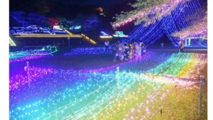 青森県「愛宕公園」で幻想的な15万球のイルミネーション！