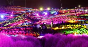 茨城「国営ひたち海浜公園」4万本のコキアがライトアップ 9/12~