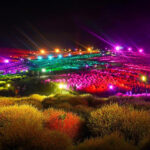 茨城「国営ひたち海浜公園」で4万本のコキアがライトアップ！