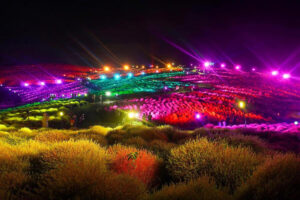 茨城「国営ひたち海浜公園」で4万本のコキアがライトアップ！