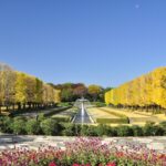 東京「国営昭和記念公園」秋の訪れ 約400万本のコスモスが見頃!