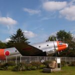 埼玉「所沢航空記念公園」のコキアが赤く色付き始めました!