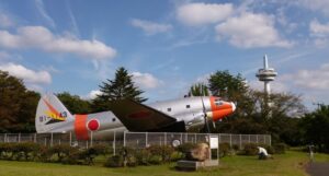 埼玉「所沢航空記念公園」のコキアが赤く色付き始めました！