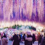 栃木「あしかがフラワーパーク」で感じる!秋の光と香りの共演