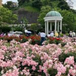 横須賀市ヴェルニー公園「秋のローズフェスタ」10/18~開催!