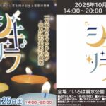 埼玉「いろは親水公園」に1万本のキャンドルが灯る「シキリラ」 開催！