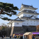 小田原「一夜城まつり＆戦国武将サミット」 歴史の舞台で戦国体験！