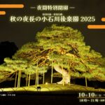 小石川後楽園と東京ドームシティ共催でライトアップ！10日から