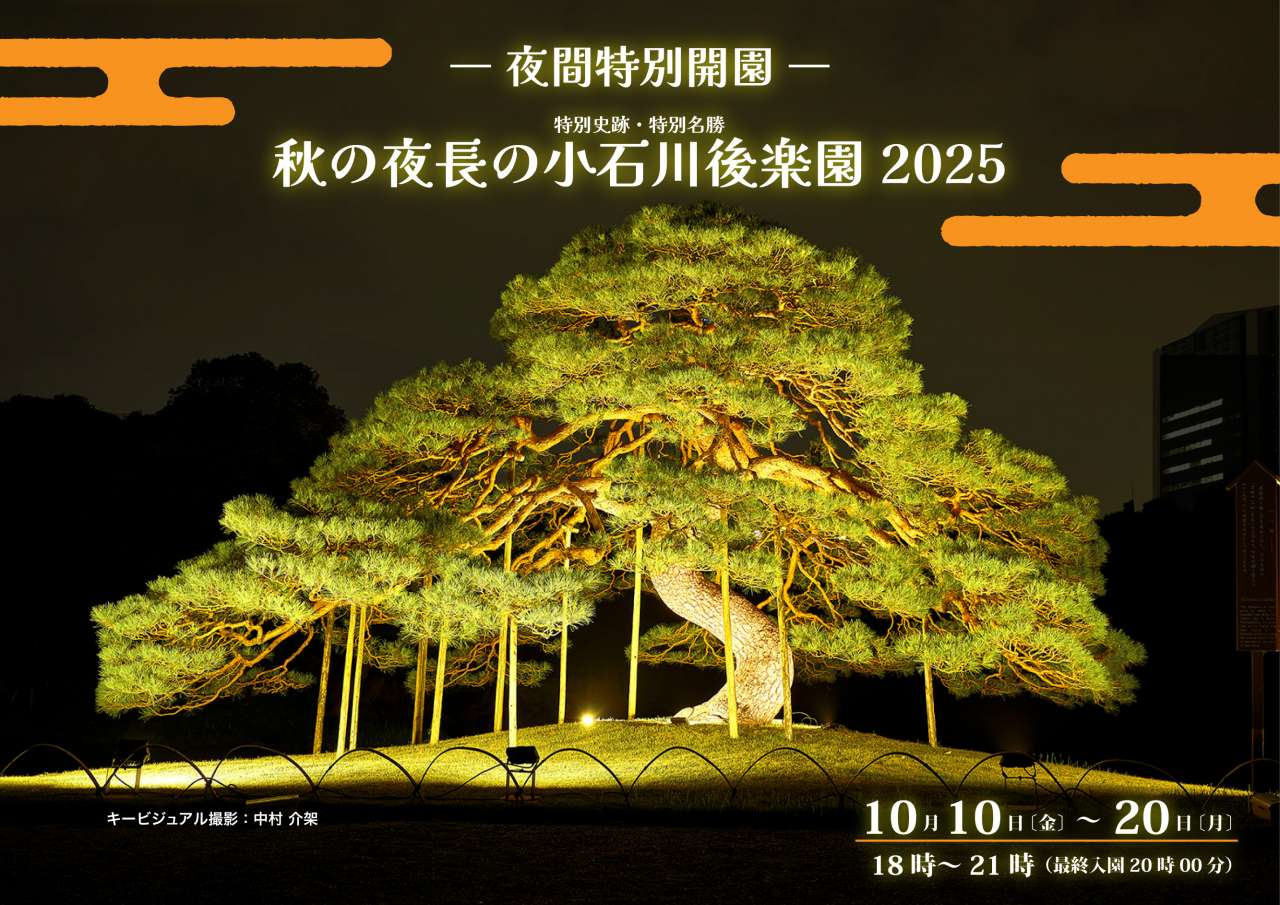 小石川後楽園と東京ドームシティ共催でライトアップ!10日から