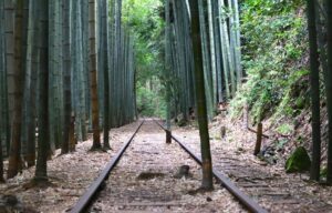 廃線から40年、幻想的な世界が人気の「旧国鉄倉吉線」廃線跡