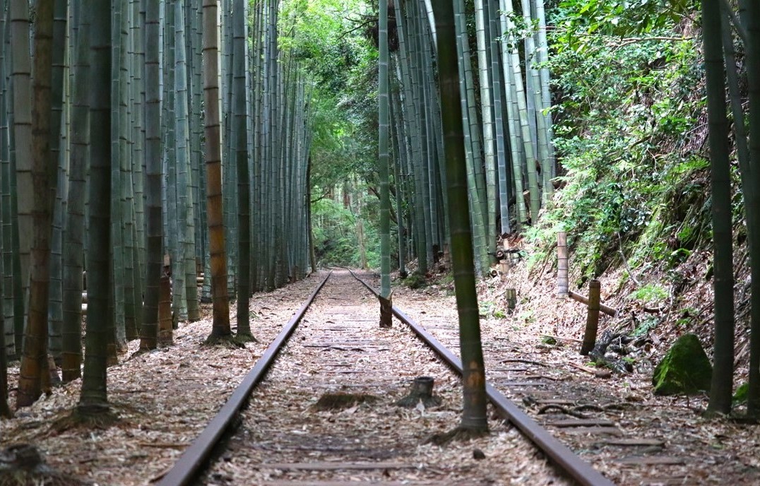 廃線から40年、幻想的な世界が人気の「旧国鉄倉吉線」廃線跡