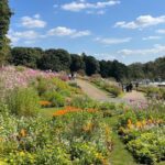 横浜「里山ガーデン」15万本の花々に、日常を忘れる無料の楽園!