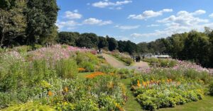 横浜「里山ガーデン」15万本の花々に、日常を忘れる無料の楽園！