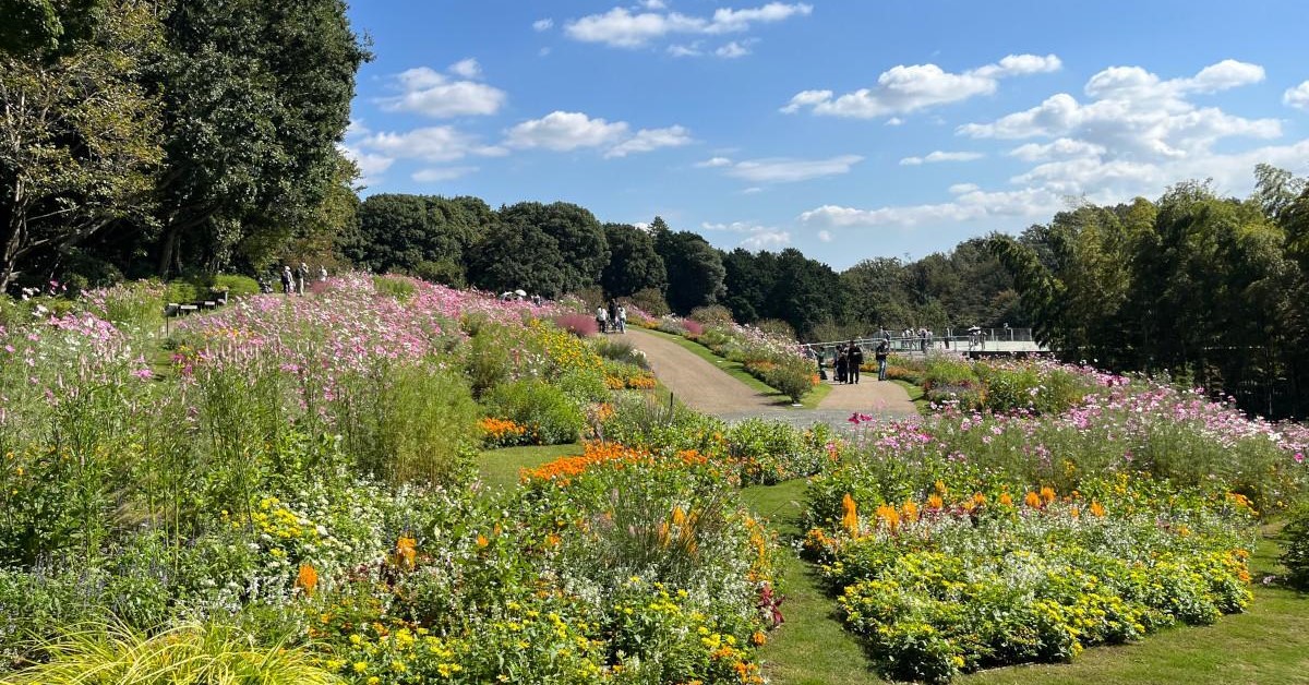 横浜「里山ガーデン」15万本の花々に、日常を忘れる無料の楽園!