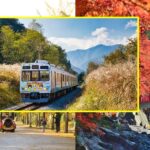 秩父・紅葉の見頃にあわせて「長瀞-影森間」臨時列車を運行!