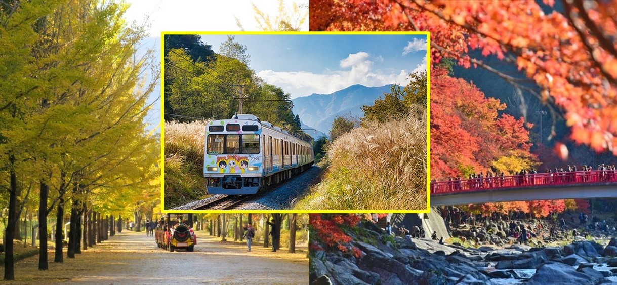 秩父・紅葉の見頃にあわせて「長瀞-影森間」臨時列車を運行!