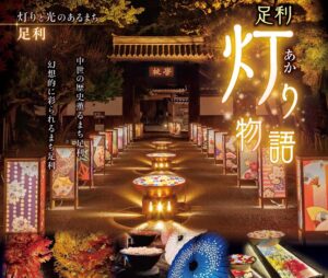 あしかがフラワーパークが『史跡・足利学校』を花と光で演出!