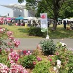 町田「野津田公園 ROSE FEST 」1500株のバラの祭典10/11~開催!