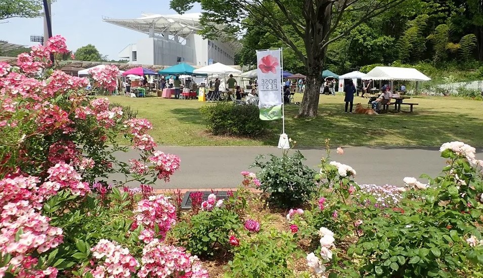 町田「野津田公園 ROSE FEST 」1500株のバラの祭典10/11~開催!
