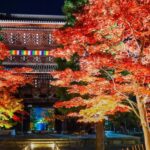 京都「金戒光明寺」秋の特別拝観と夜間ライトアップを特別公開