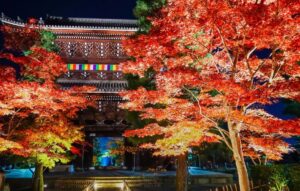 京都「金戒光明寺」秋の特別拝観と夜間ライトアップを特別公開