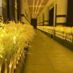 青森「田舎館村」でイルミネーション、黄金の稲穂が幻想的だ